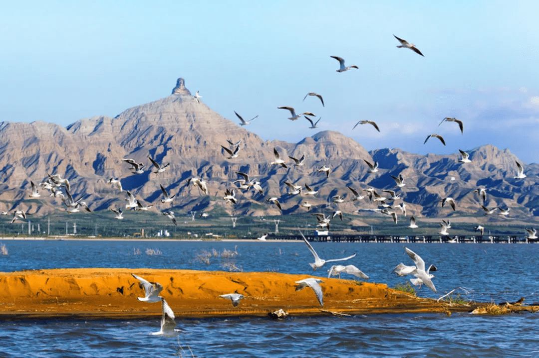 乌海盛会，嘉宾云集，共襄盛举