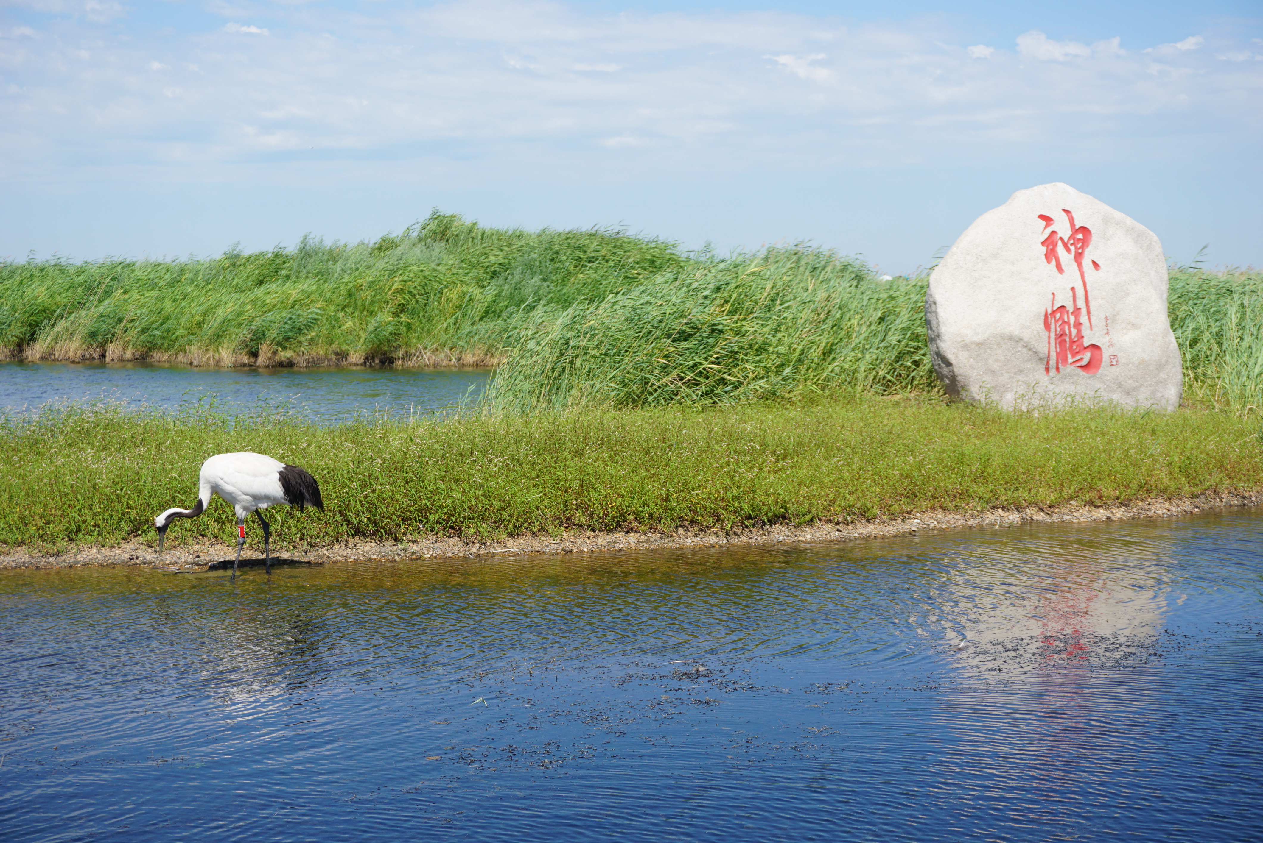 浪漫邂逅运城,自然之旅的完美篇章